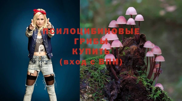 шишки Алексеевка