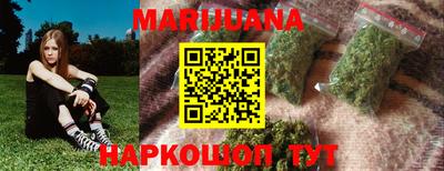 индика Гусиноозёрск