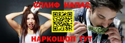 индика Гусиноозёрск