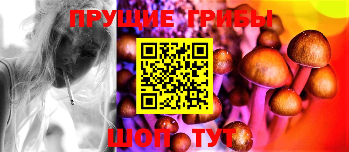 Нурлат  Псилоцибиновые грибы прущие грибы  Псилоцибиновые грибы Magic Shrooms  Вход с VPN 